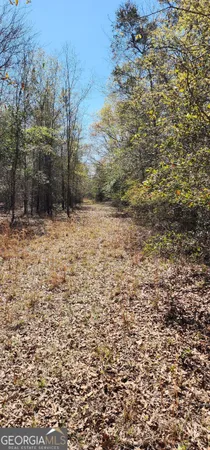 $299,000 | 0 Marvin Church Road, Lyons, GA 30436