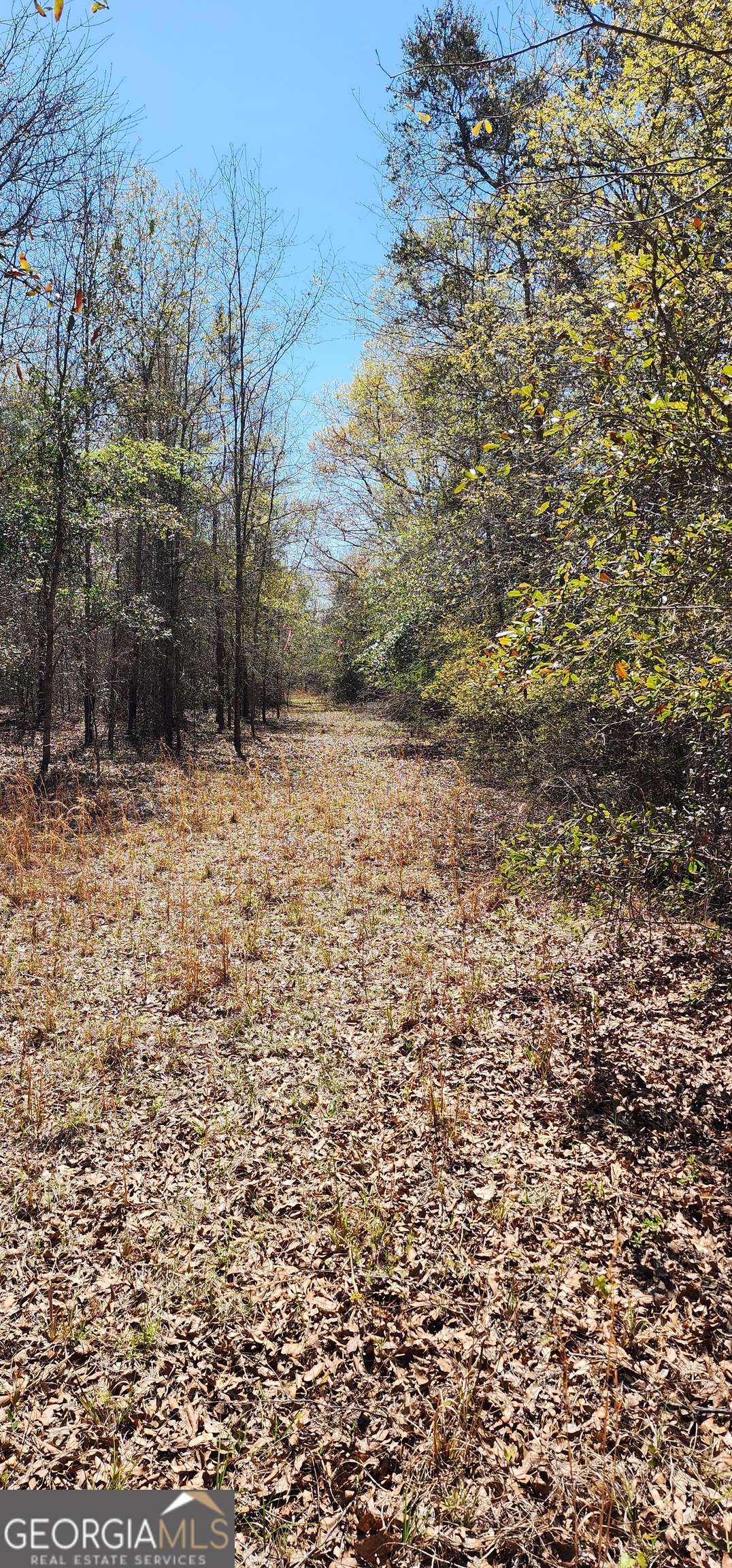 0 Marvin Church Road Lyons, GA 30436 - Photo 5 of 5