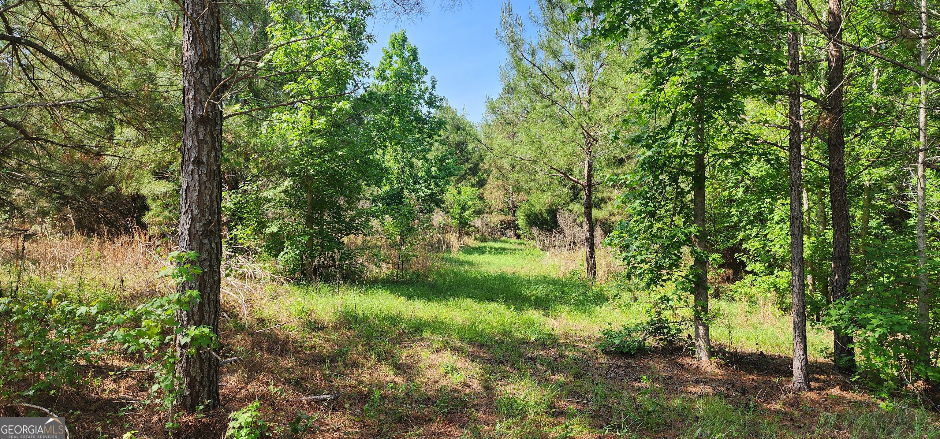 0 Marvin Church Road Lyons, GA 30436 - Photo 6 of 43 a view of a garden