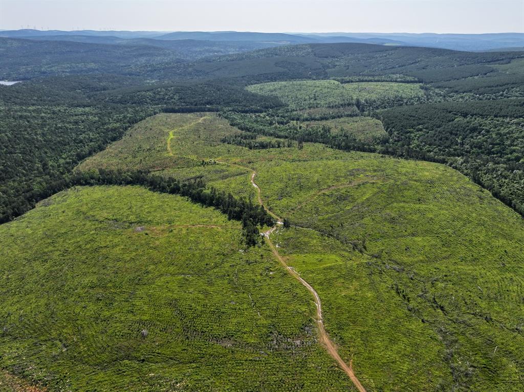 0 D4289 Road Antlers, OK 74536 - Photo 14 of 17