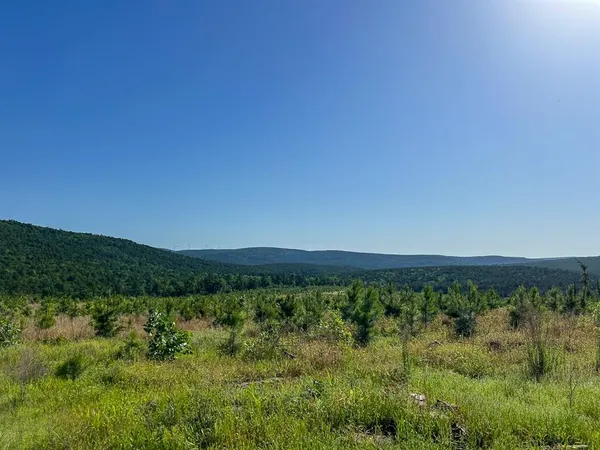 $412,500 | 0 D4289 Road, Antlers, OK 74536