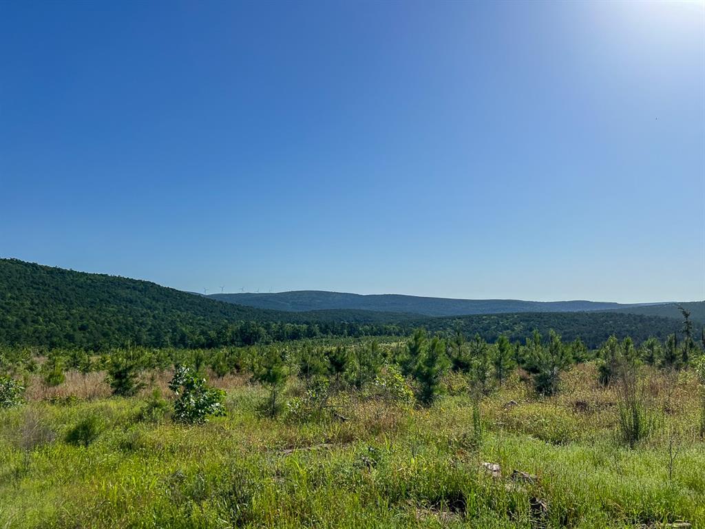 0 D4289 Road Antlers, OK 74536 - Photo 4 of 17