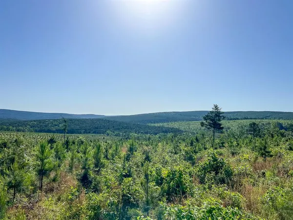 $412,500 | 0 D4289 Road, Antlers, OK 74536