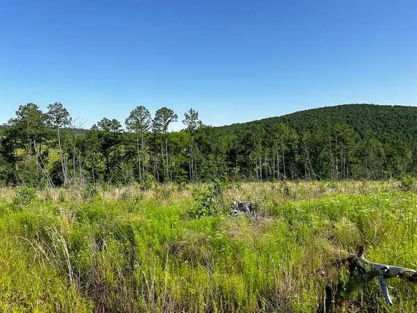 $412,500 | 0 D4289 Road, Antlers, OK 74536