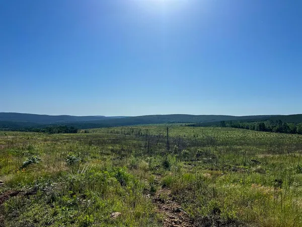 $412,500 | 0 D4289 Road, Antlers, OK 74536