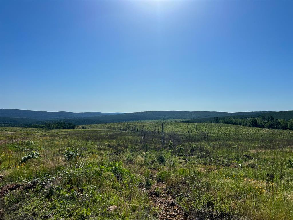 0 D4289 Road Antlers, OK 74536 - Photo 7 of 17