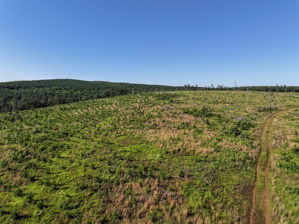 0 D4289 Road Antlers, OK 74536 - Photo 10 of 17