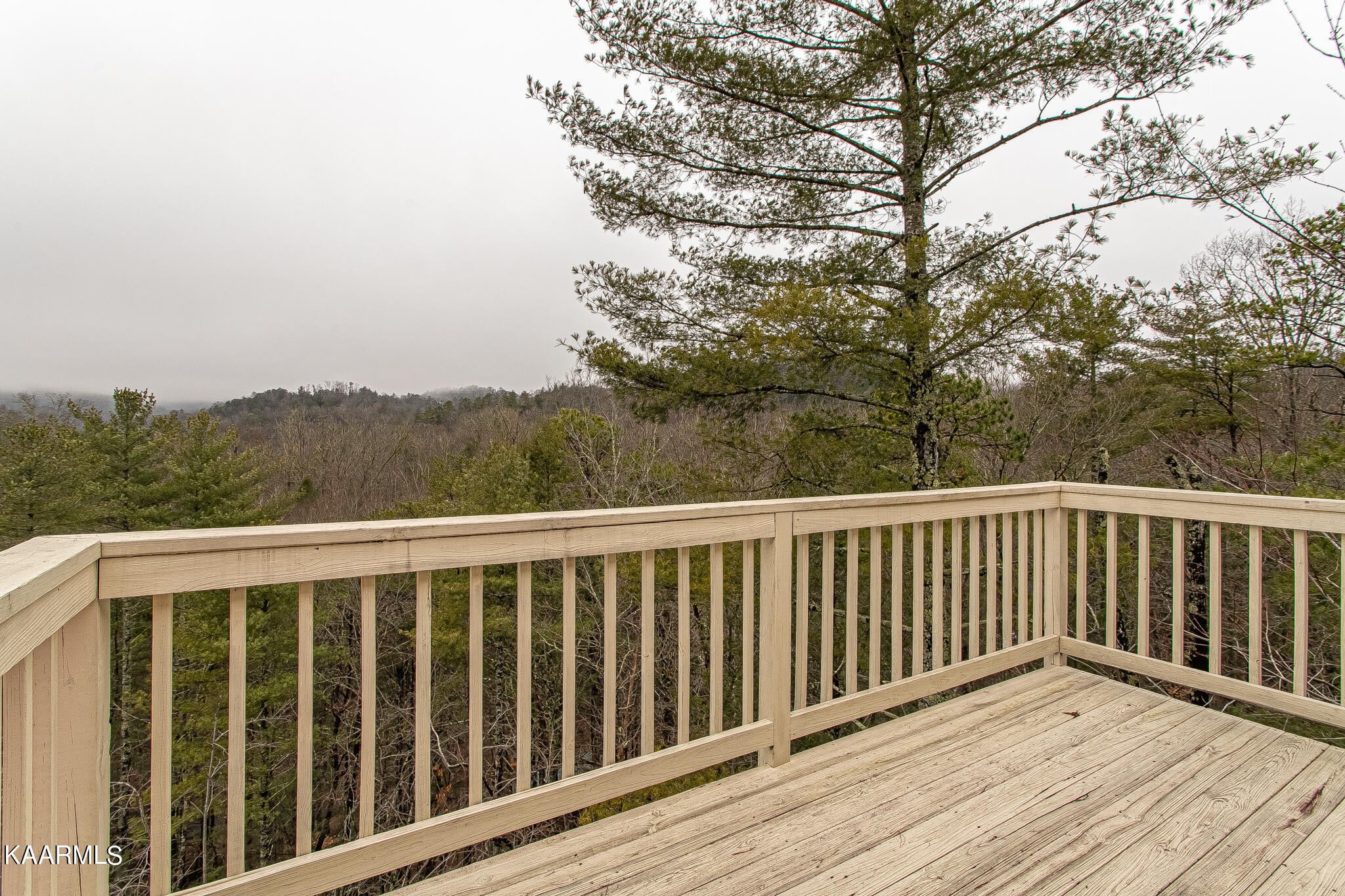 212 Ace Gap Road Townsend, TN 37882 - Photo 54 of 60 Gallery Image 54