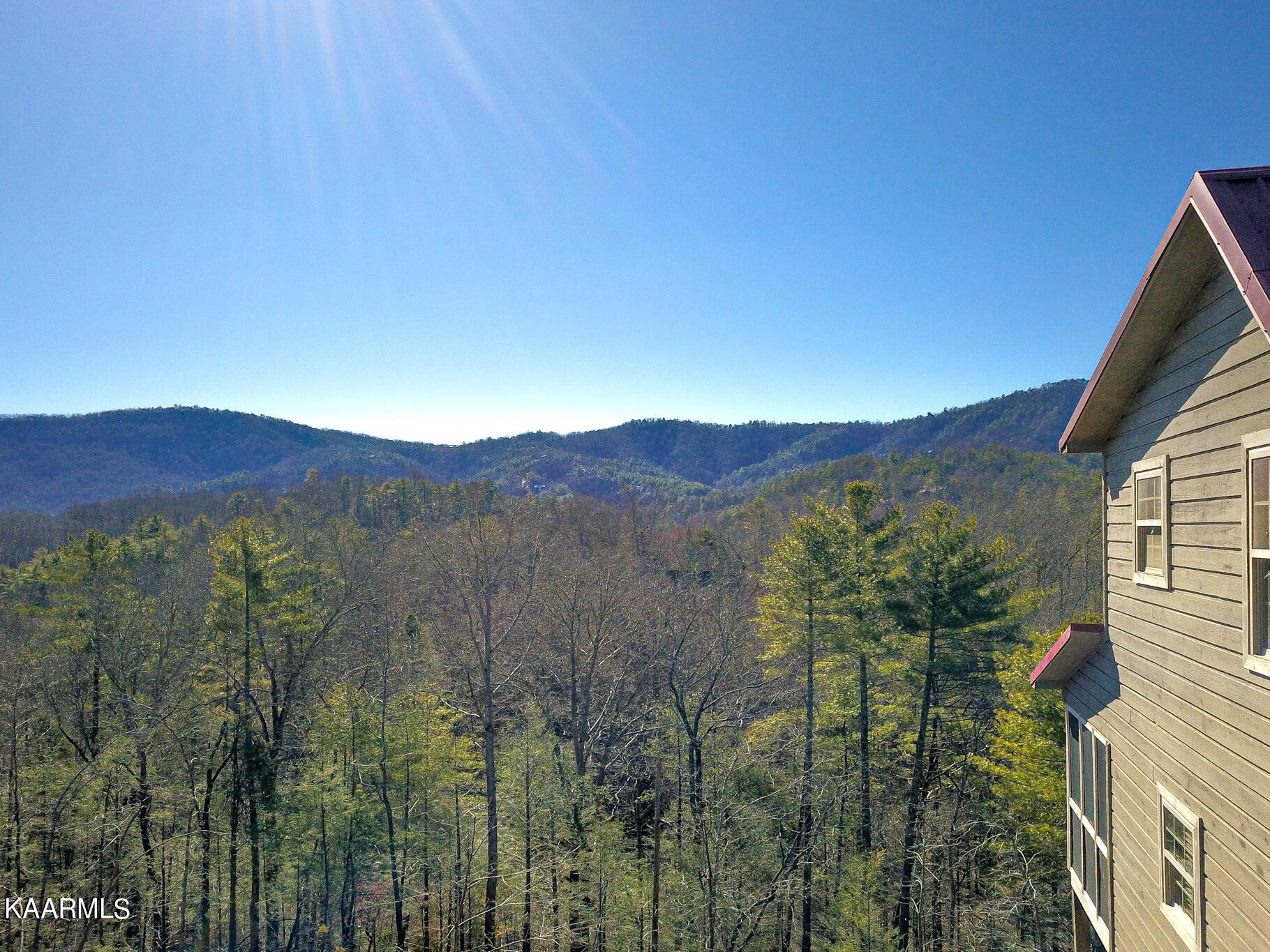 212 Ace Gap Road Townsend, TN 37882 - Photo 8 of 60 Gallery Image 8