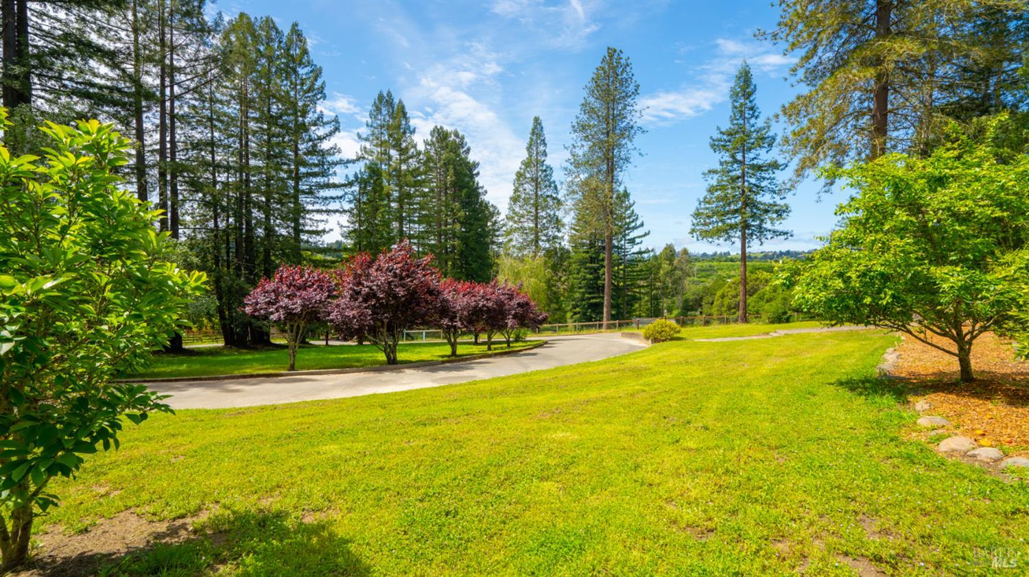 8099 Yule Tree Lane Sebastopol, CA 95472 - Photo 5 of 57