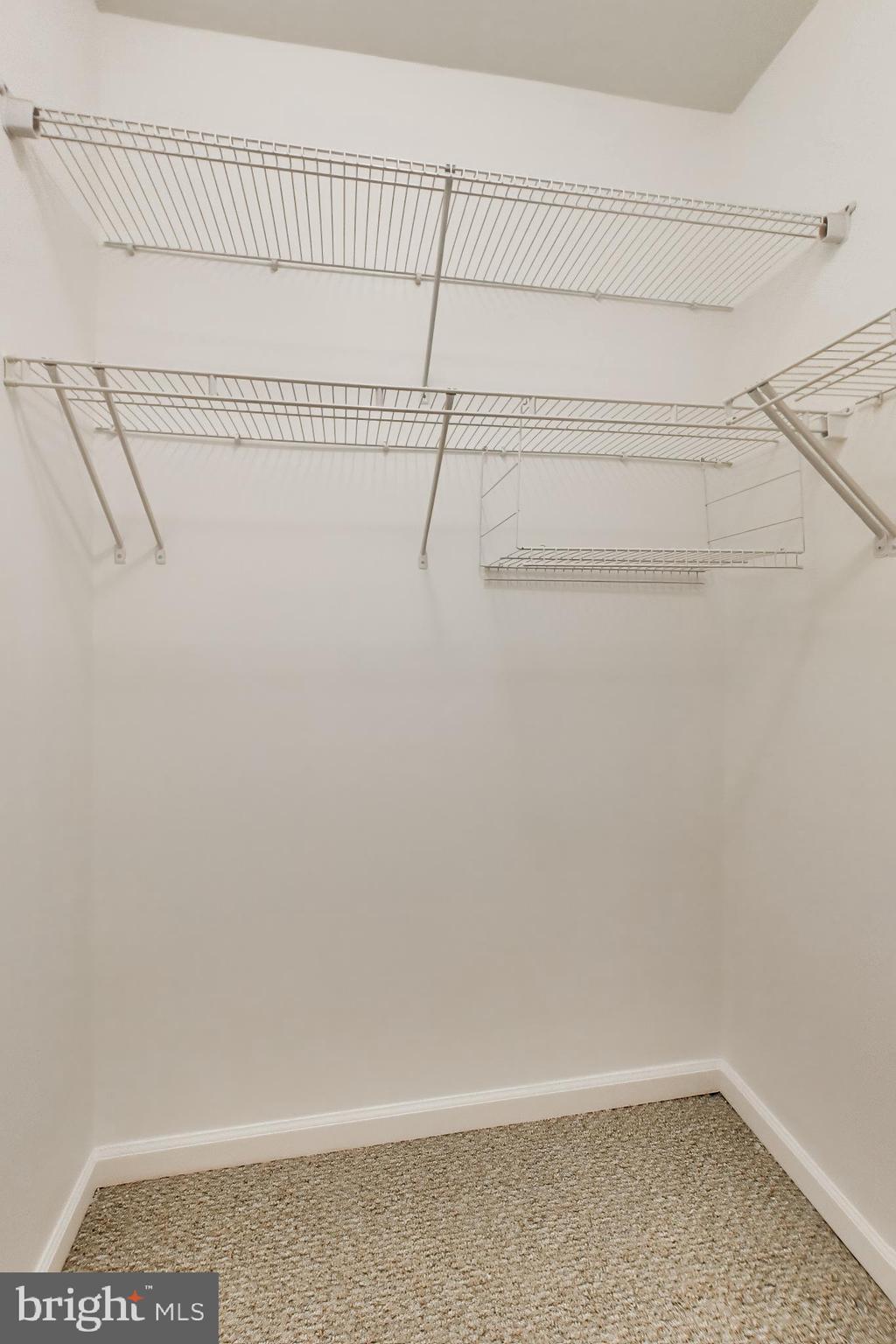 12000 Market Street, Unit 180 Reston, VA 20190 - Photo 13 of 36 Walk In Closet - 1 of 2 closets in the Bedroom