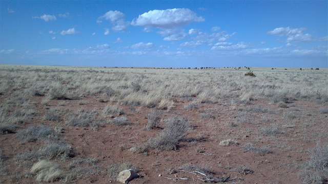 Lot 487 Chevelon Canyon Ranch Heber, AZ 85928 - Photo 2 of 2