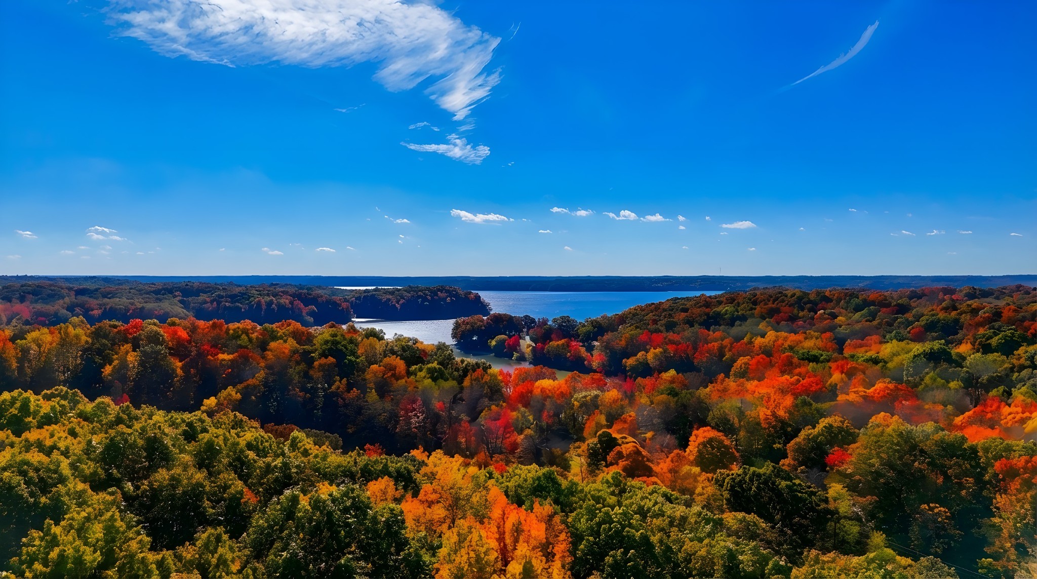 45 Bryson Road Eddyville, KY 42038 - Photo 2 of 97