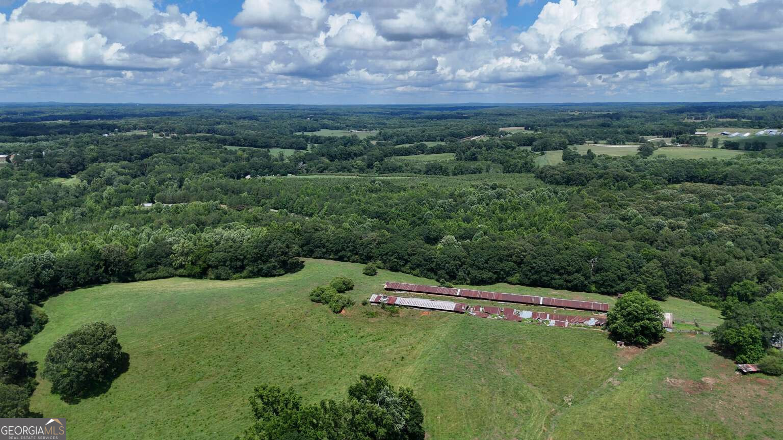 Lot 1 Stateline Road Bowdon, GA 30108 - Photo 12 of 12 Gallery Image 12