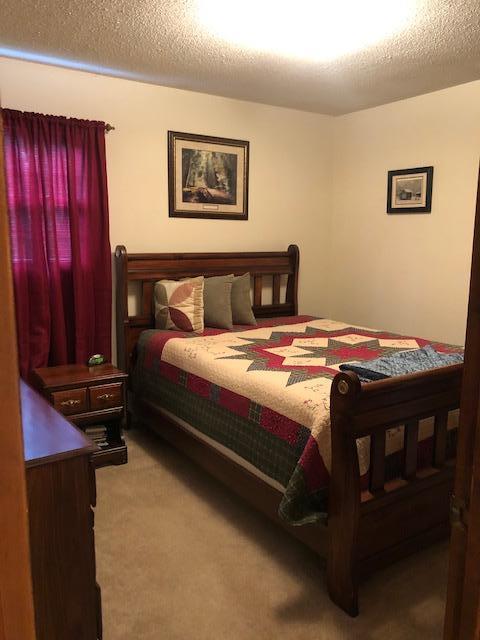 1875 Pico Road Buchanan, VA 24066 - Photo 18 of 31 IMG_7381