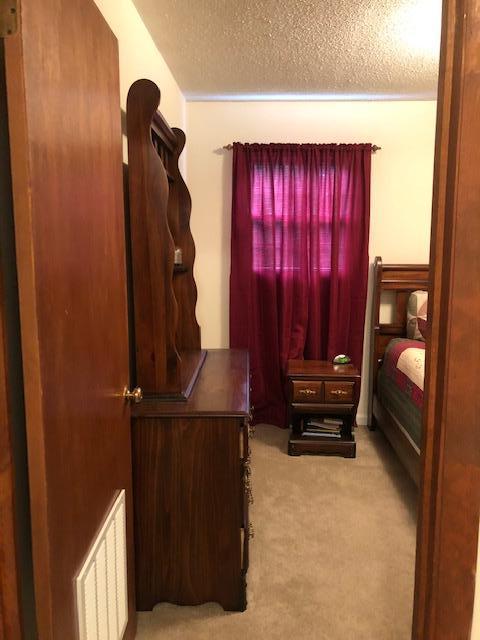 1875 Pico Road Buchanan, VA 24066 - Photo 19 of 31 IMG_7382