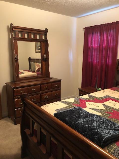 1875 Pico Road Buchanan, VA 24066 - Photo 20 of 31 IMG_7383