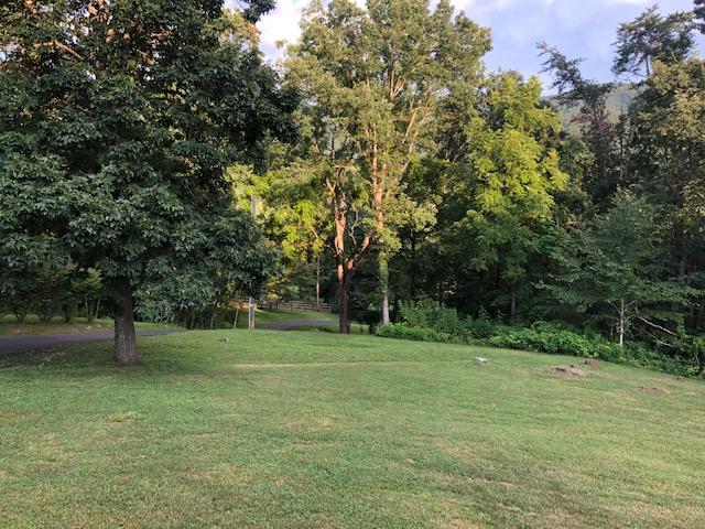 1875 Pico Road Buchanan, VA 24066 - Photo 28 of 31 IMG_7365