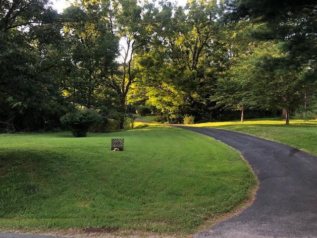 1875 Pico Road Buchanan, VA 24066 - Photo 29 of 31 IMG_7343