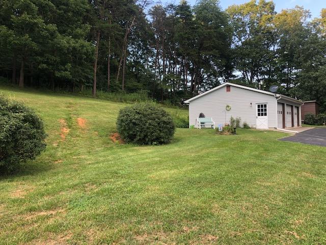 1875 Pico Road Buchanan, VA 24066 - Photo 6 of 31 IMG_7364