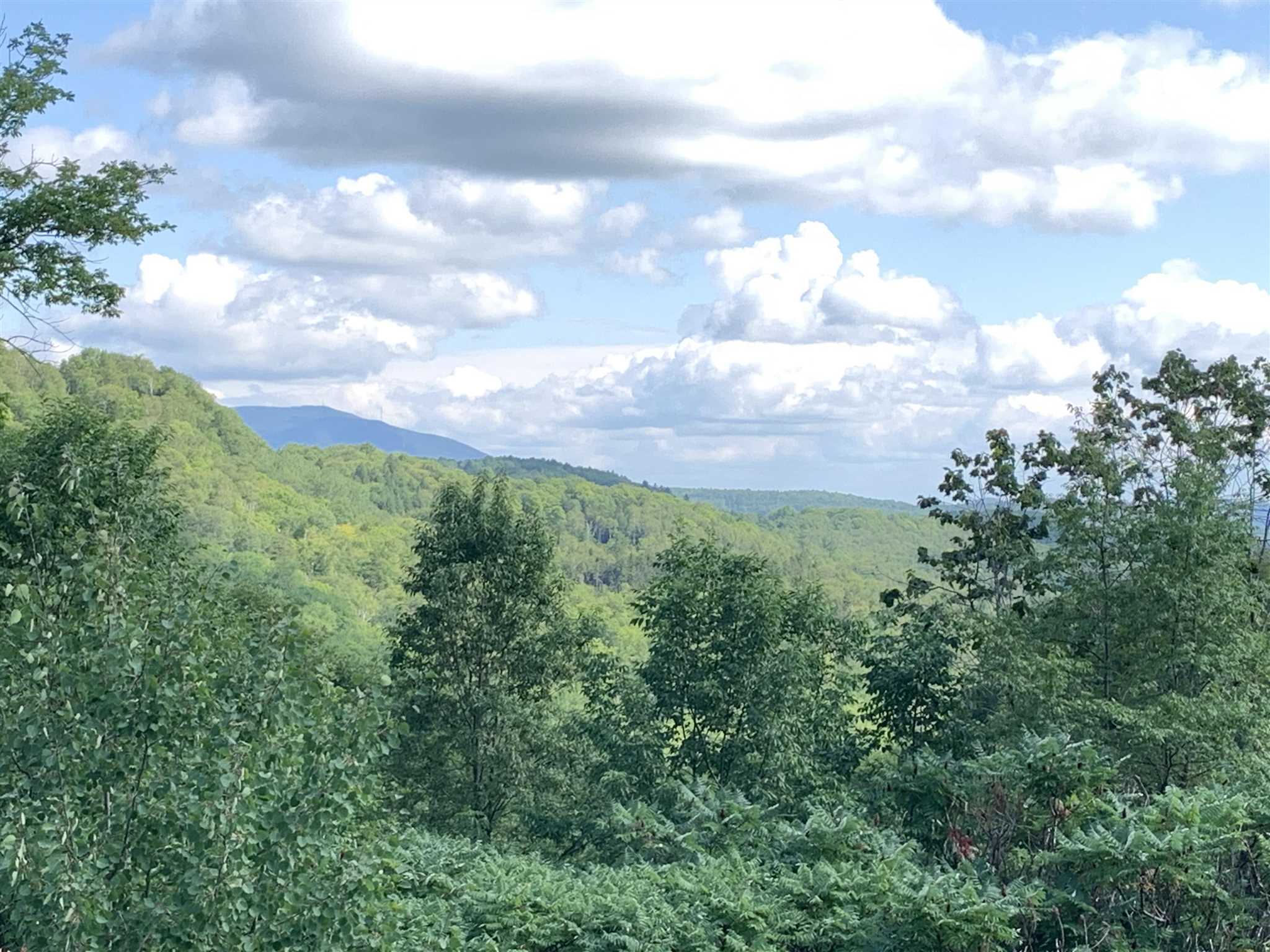 1992 Stone Chimney Road Reading, VT 05062 - Photo 9 of 15