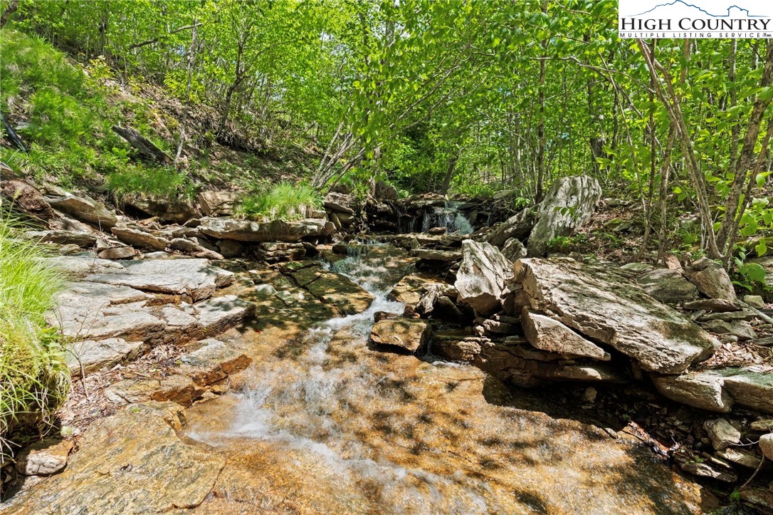 140 Spruce Hollow Road Beech Mountain, NC 28604 - Photo 43 of 50