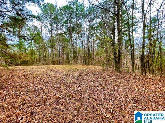 0 Deaver Walker Road Trafford, AL 35172 - Photo 27 of 28