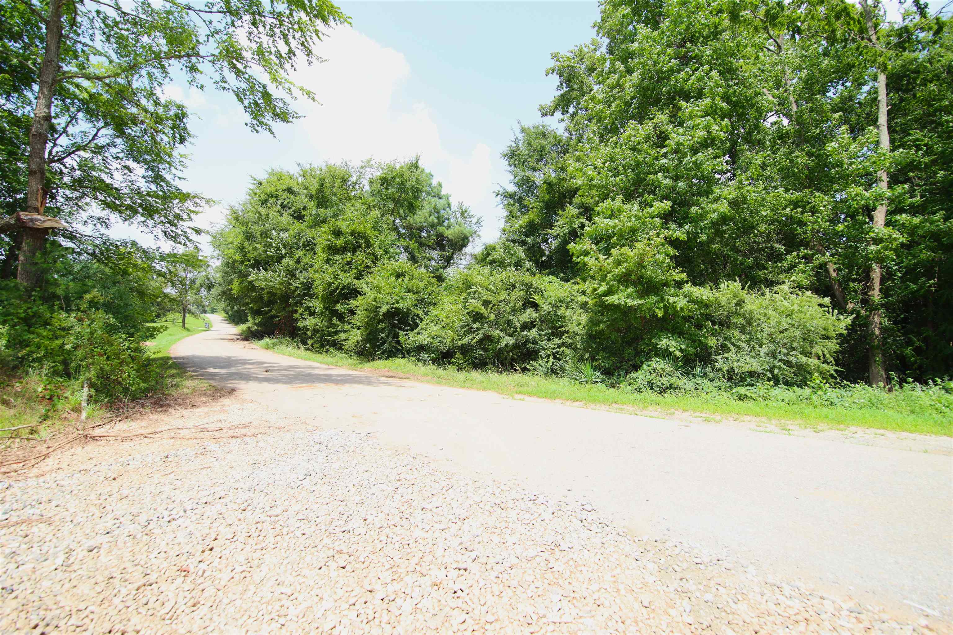 278 Old Landfill Road Wellford, SC 29385 - Photo 5 of 13 Gallery Image 5