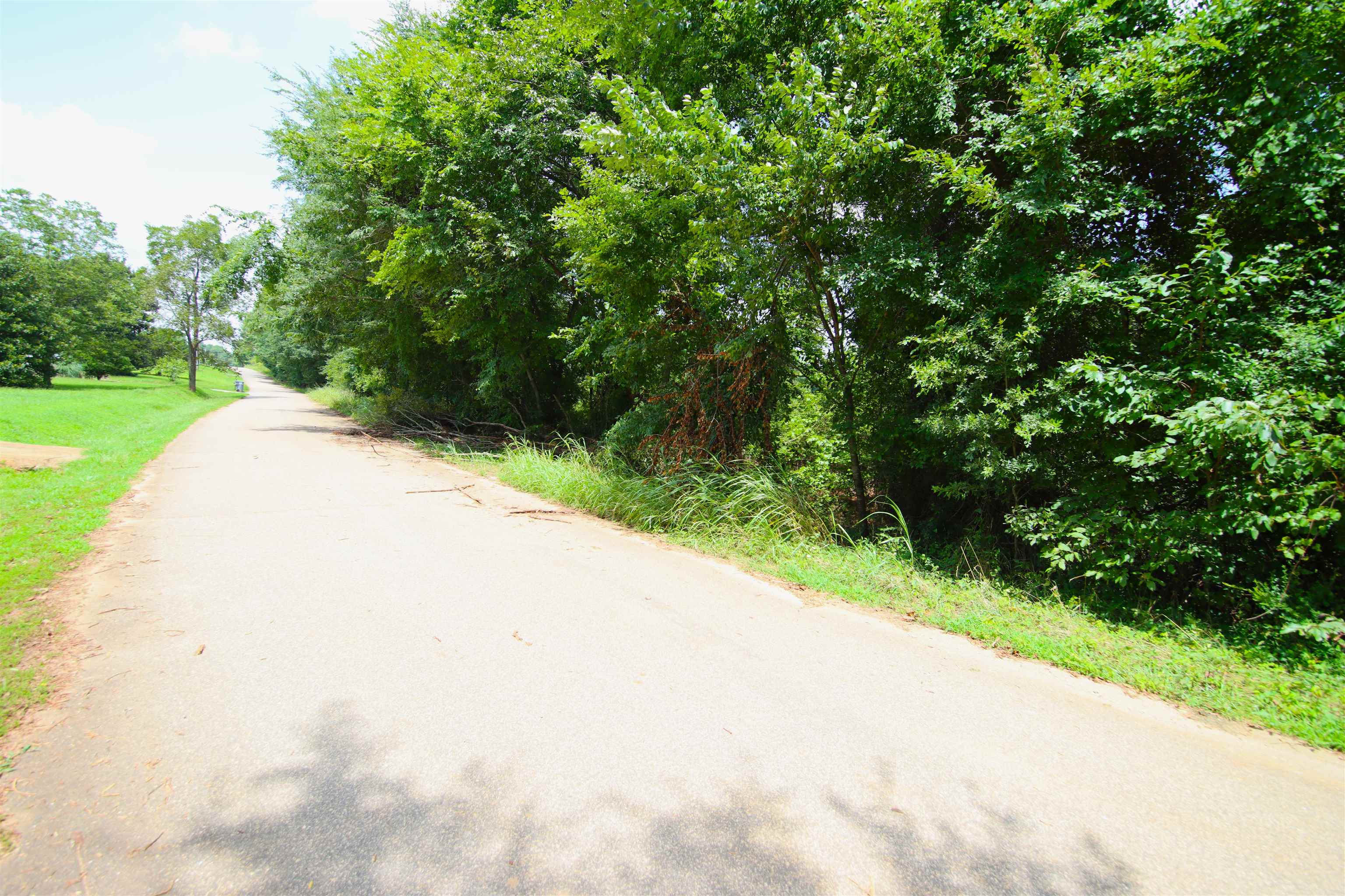 278 Old Landfill Road Wellford, SC 29385 - Photo 6 of 13 Gallery Image 6