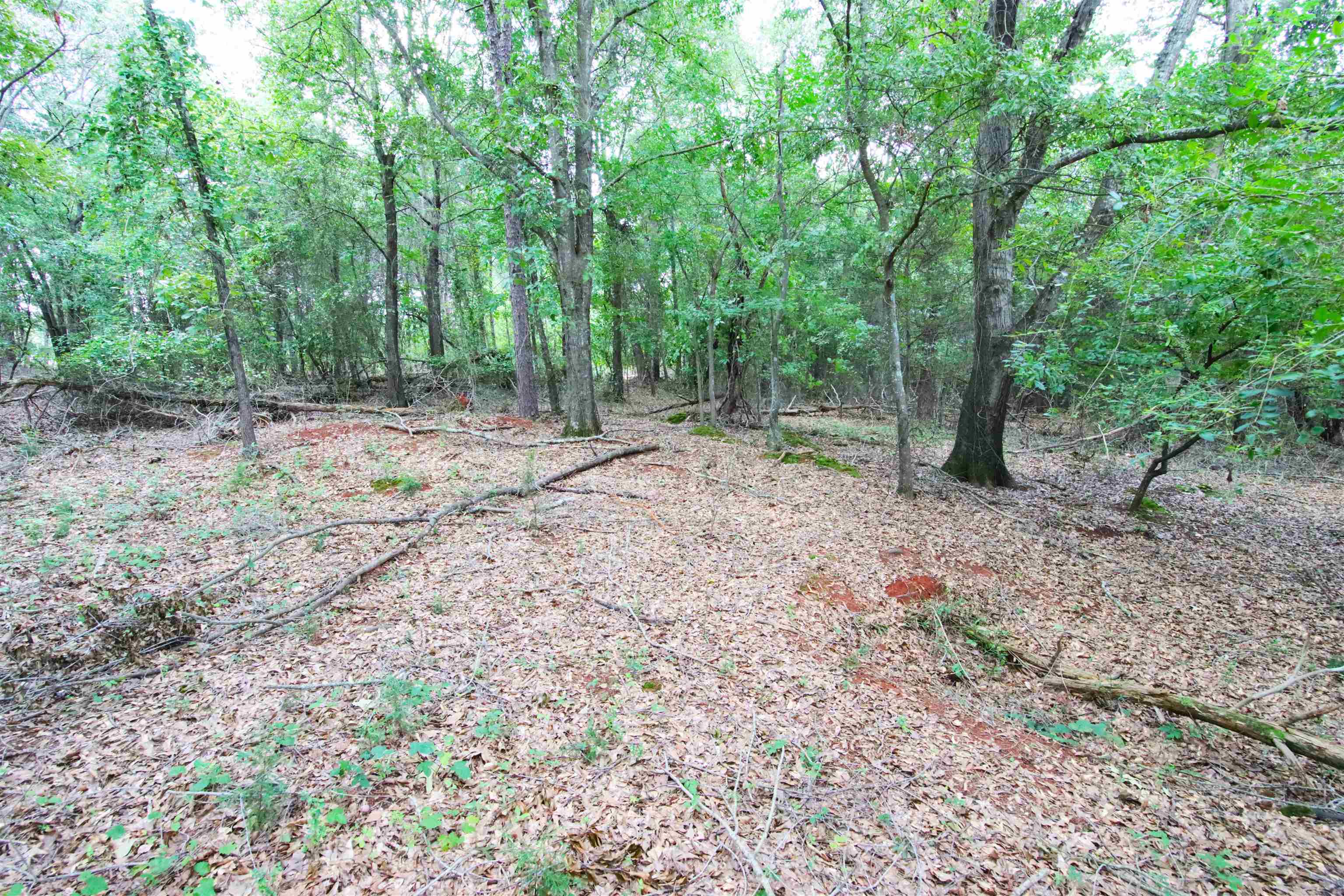278 Old Landfill Road Wellford, SC 29385 - Photo 8 of 13 Gallery Image 8