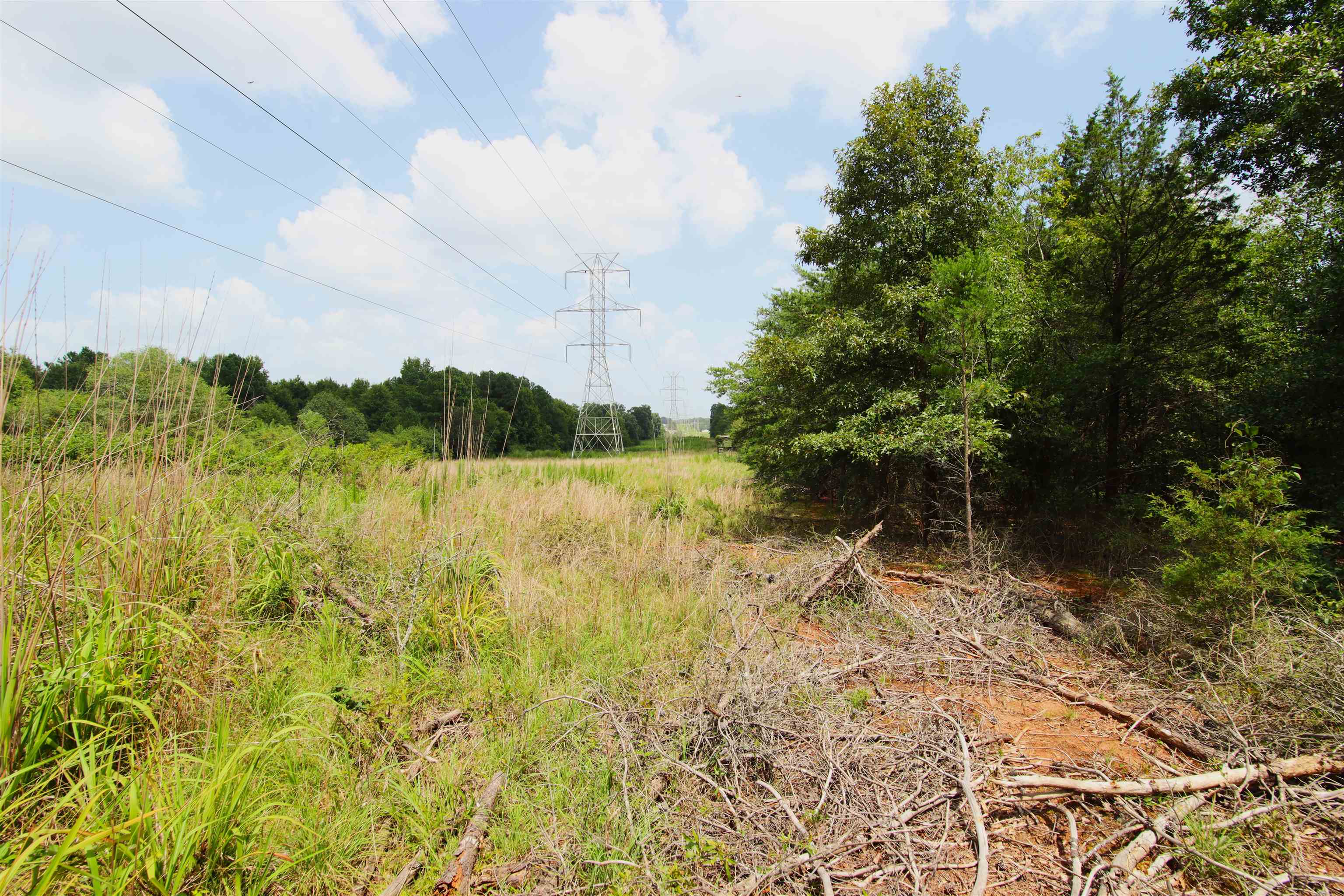 278 Old Landfill Road Wellford, SC 29385 - Photo 9 of 13 Gallery Image 9