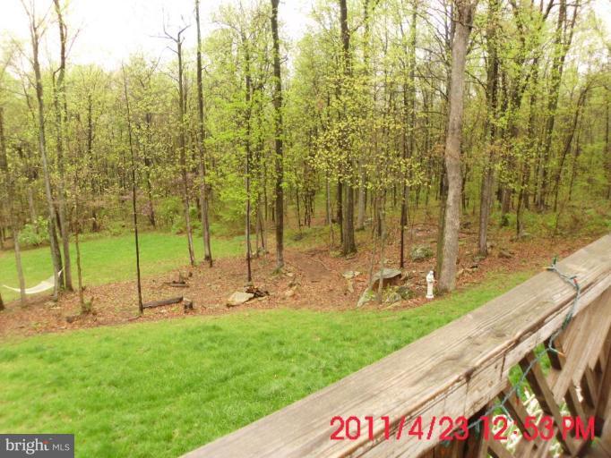 19361 Loudoun Orchard Road Leesburg, VA 20175 - Photo 13 of 16 Wooded View / Acreage 2