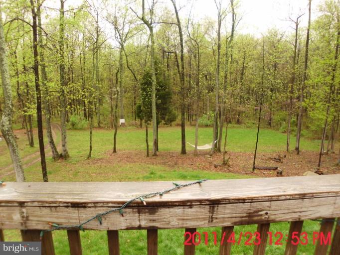 19361 Loudoun Orchard Road Leesburg, VA 20175 - Photo 6 of 16 Wooded View / Acreage