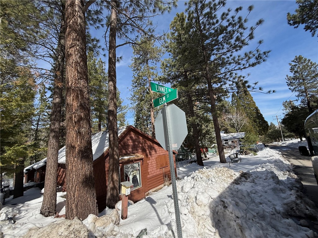 0 Linnet Road Wrightwood, CA 92397 - Photo 5 of 7 a view of a park with a tree