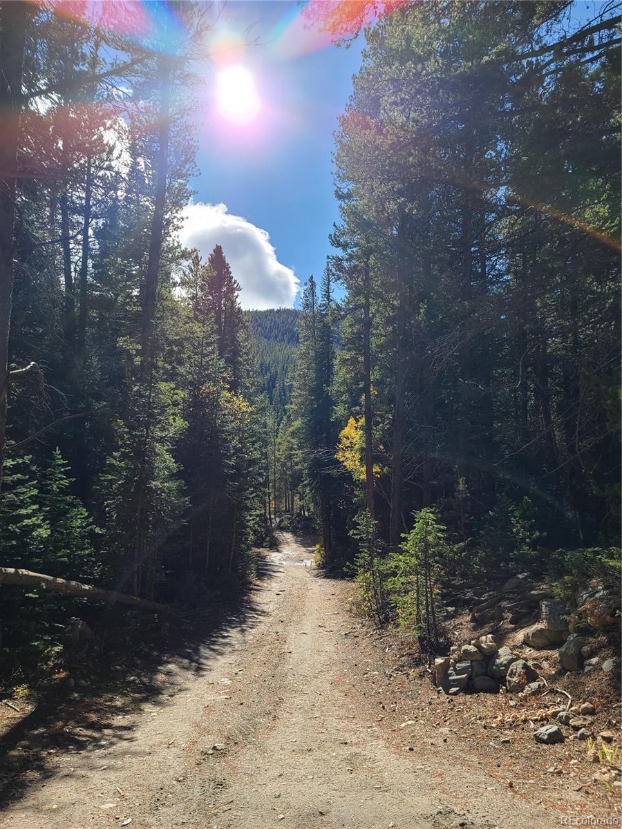 4 Rainbow Road Idaho Springs, CO 80452 - Photo 4 of 10 a view of a yard
