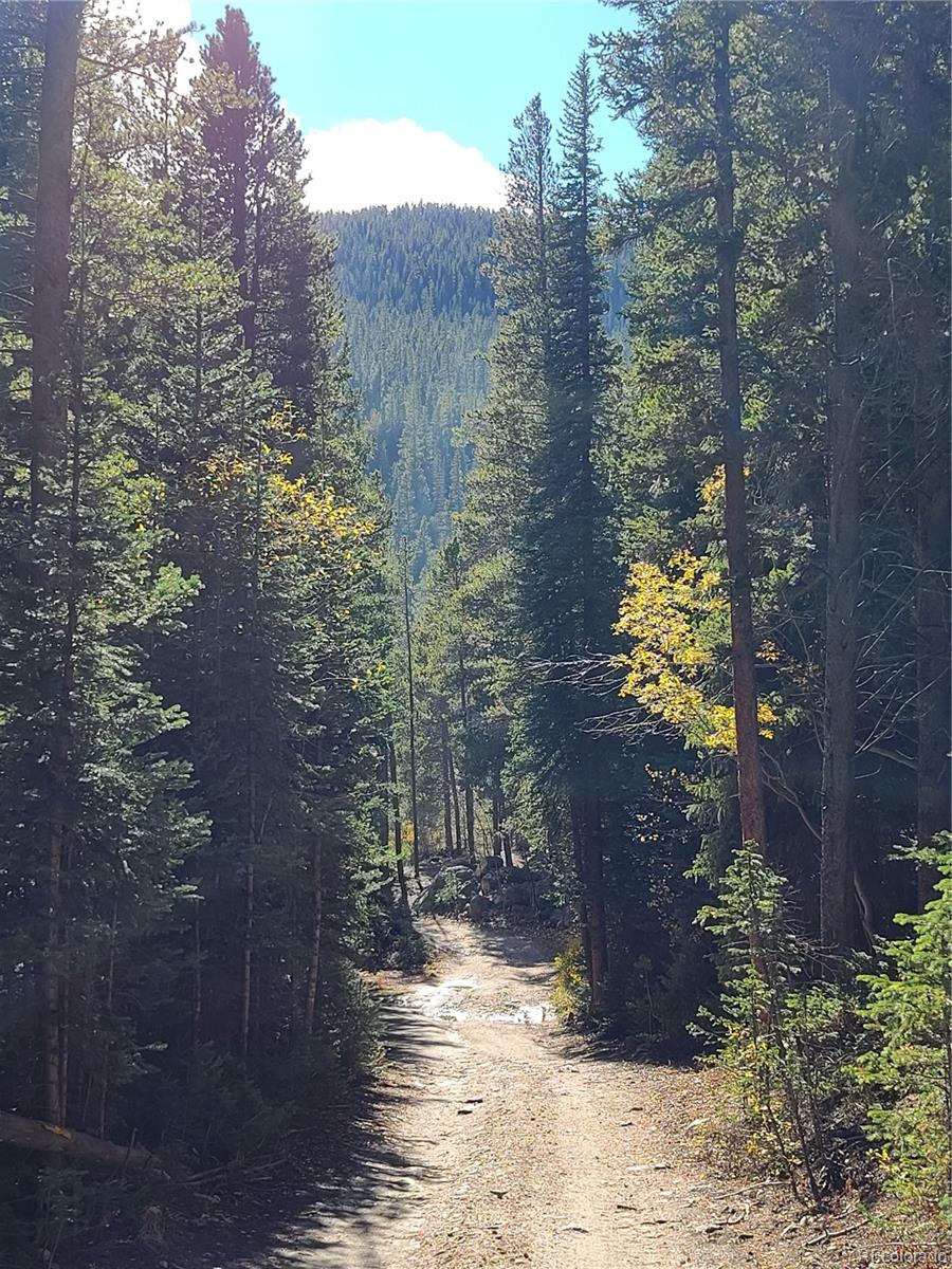 4 Rainbow Road Idaho Springs, CO 80452 - Photo 5 of 10 a view of a yard with plants and trees