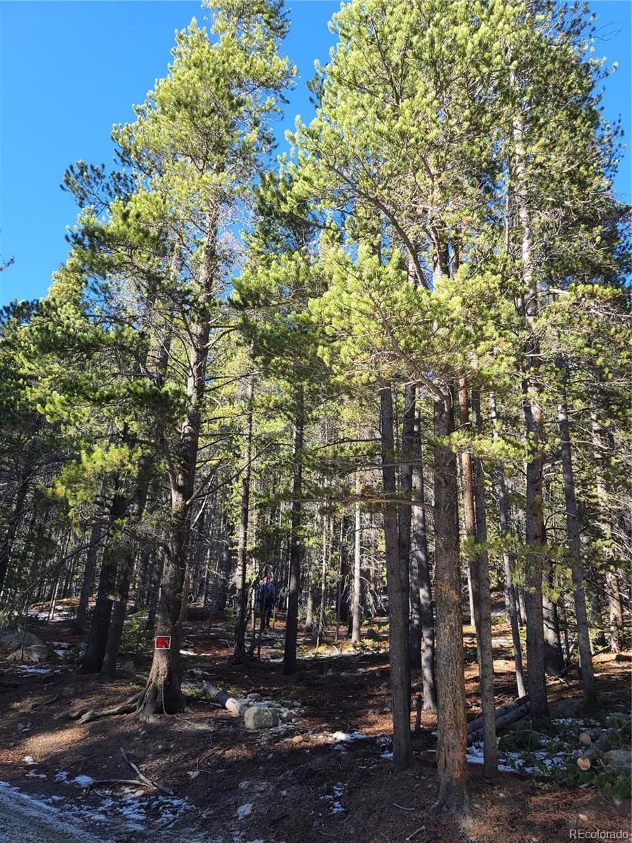 4 Rainbow Road Idaho Springs, CO 80452 - Photo 6 of 10