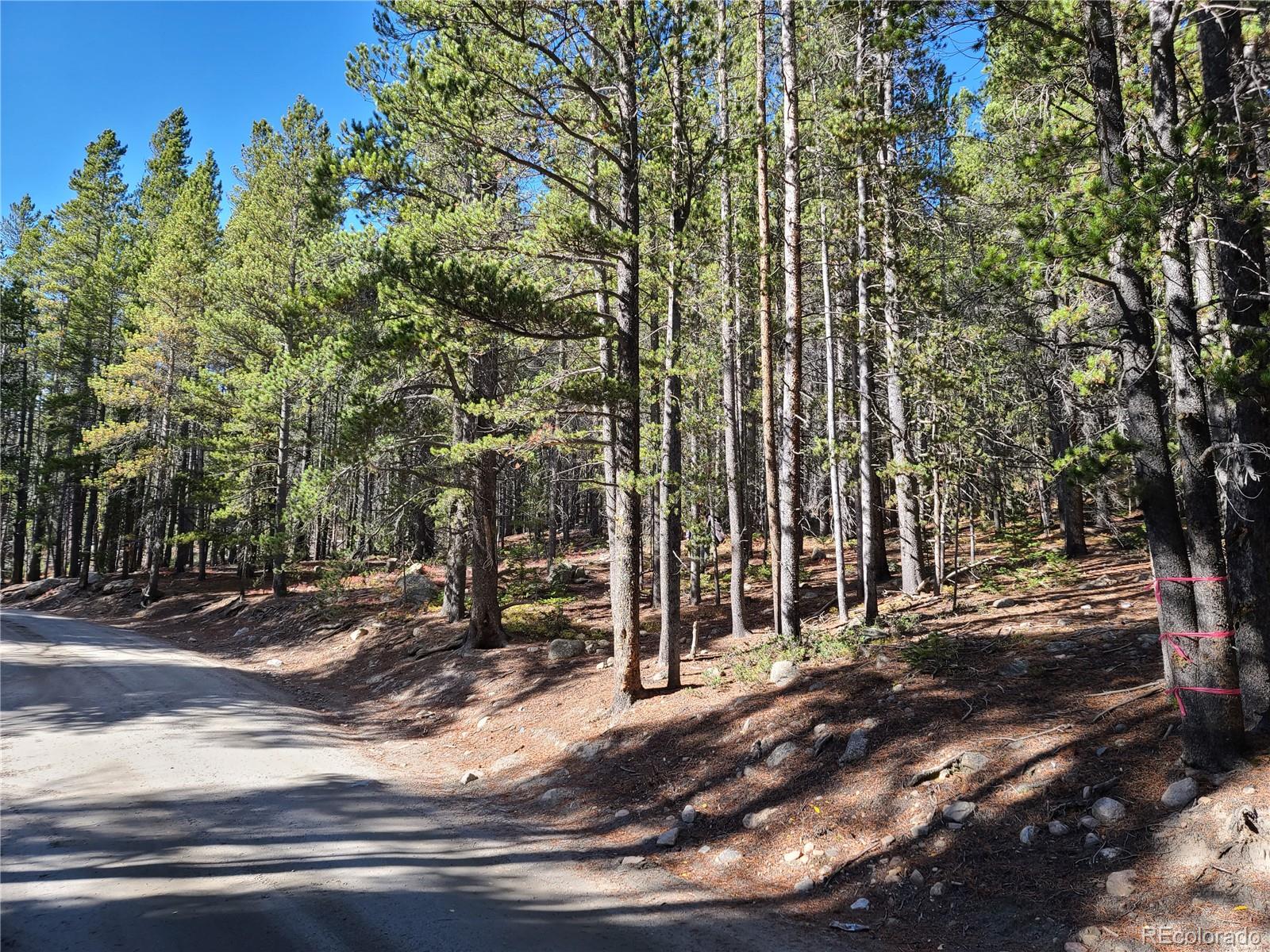 4 Rainbow Road Idaho Springs, CO 80452 - Photo 7 of 10 a view of a backyard with basketball court