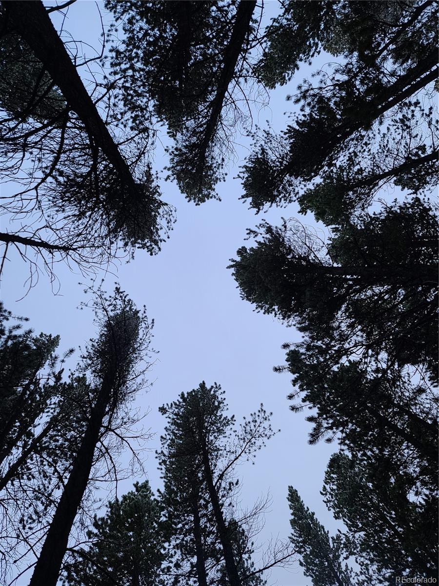 4 Rainbow Road Idaho Springs, CO 80452 - Photo 10 of 10 a view of top of a building