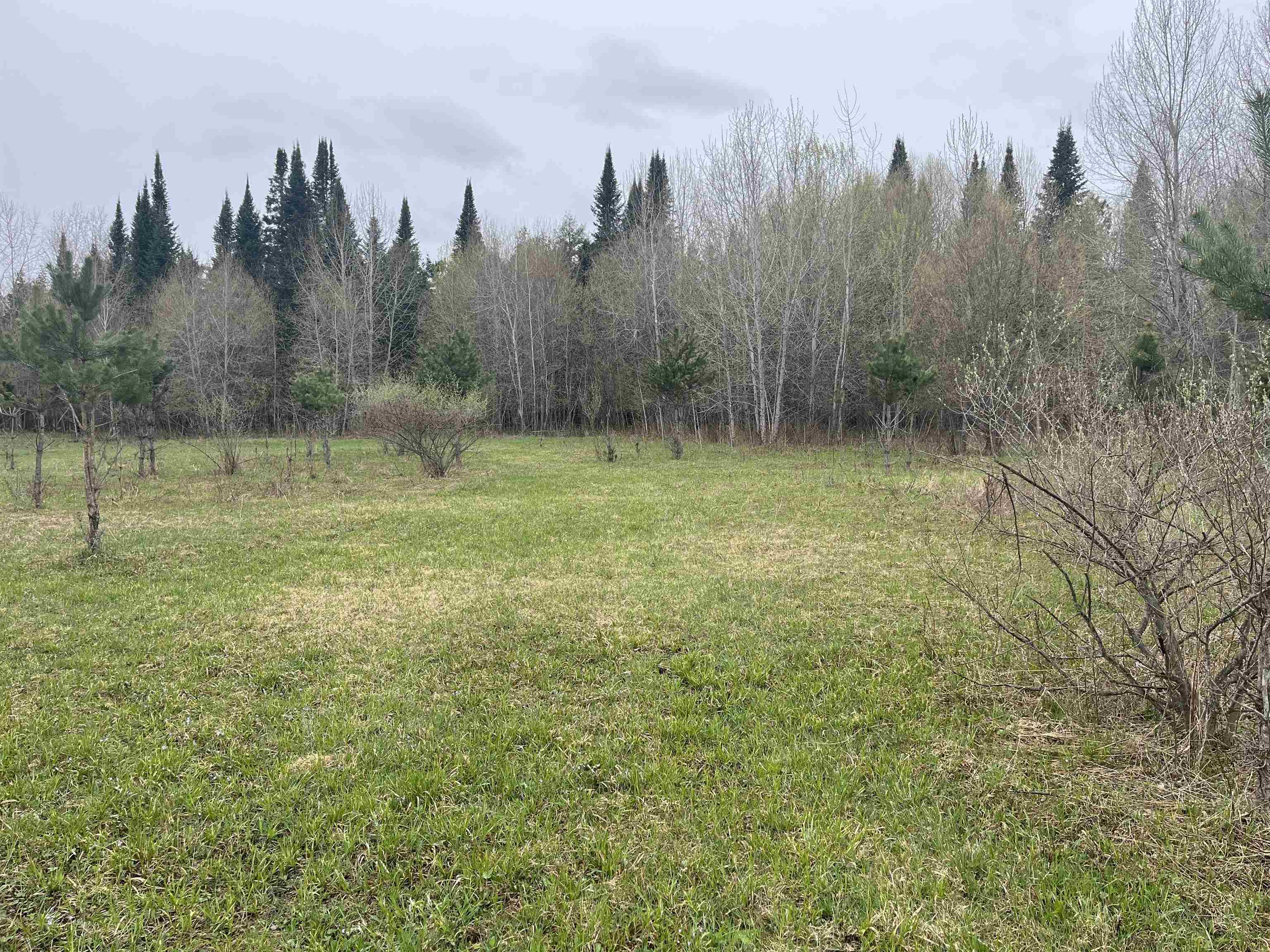 0 Wallen Road Thompsonville, MI 49683 - Photo 4 of 16 1947190-ef19dcbb-5d2f-422b-b1cf-41d5a8bb893e.JPG