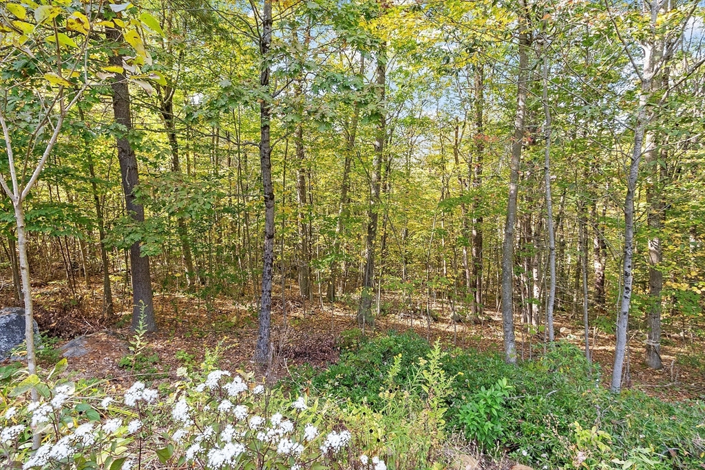 65 Davis Road Westminster, MA 01473 - Photo 39 of 42