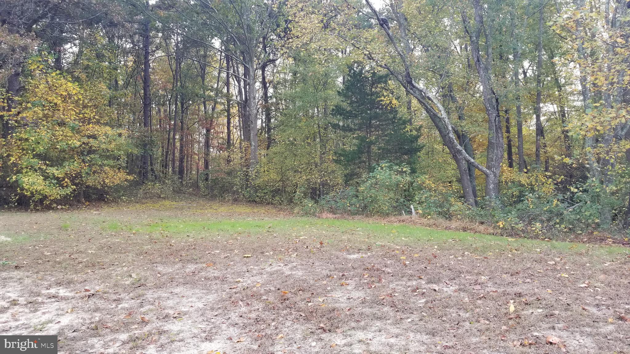 608 Springtown Road Greenwich, NJ 08323 - Photo 9 of 9