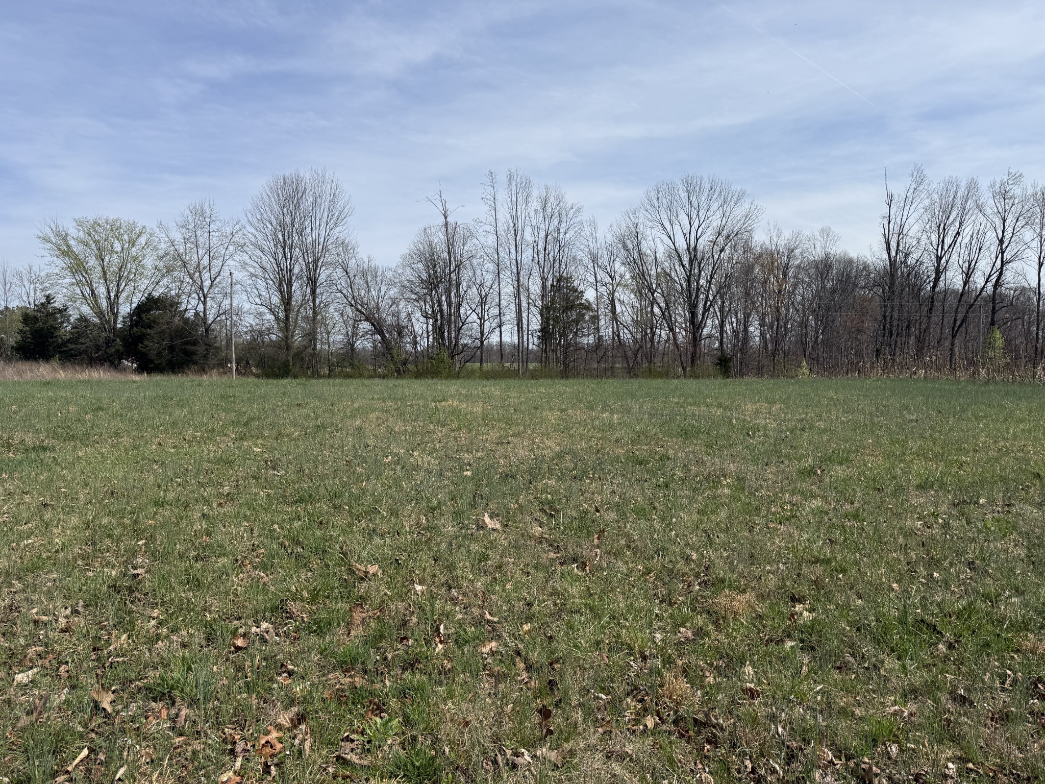 121 Magnolia Lane Red Boiling Springs, TN 37150 - Photo 1 of 10 a view of a field with trees in the background