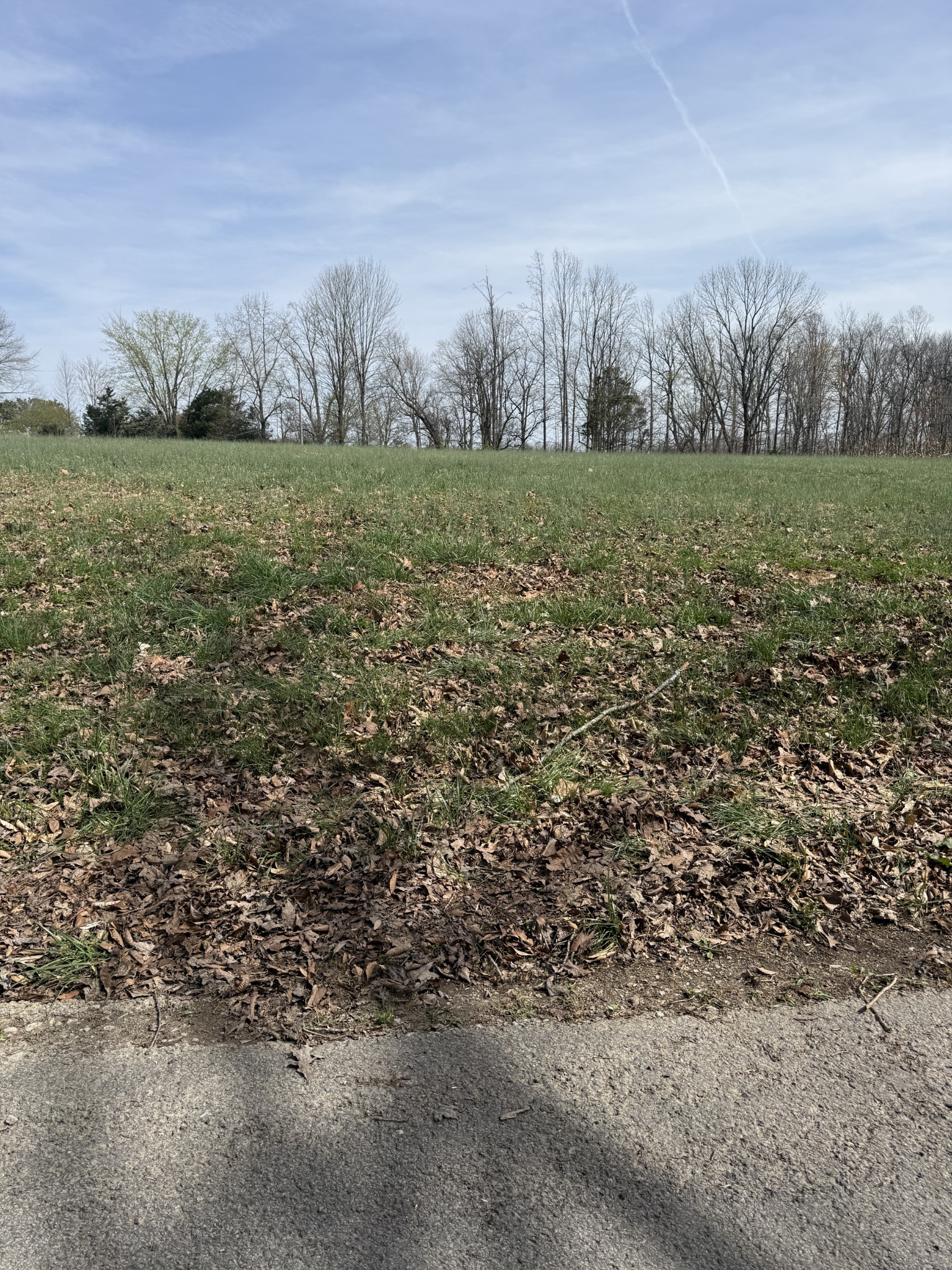 121 Magnolia Lane Red Boiling Springs, TN 37150 - Photo 2 of 10 a view of a field with an ocean view