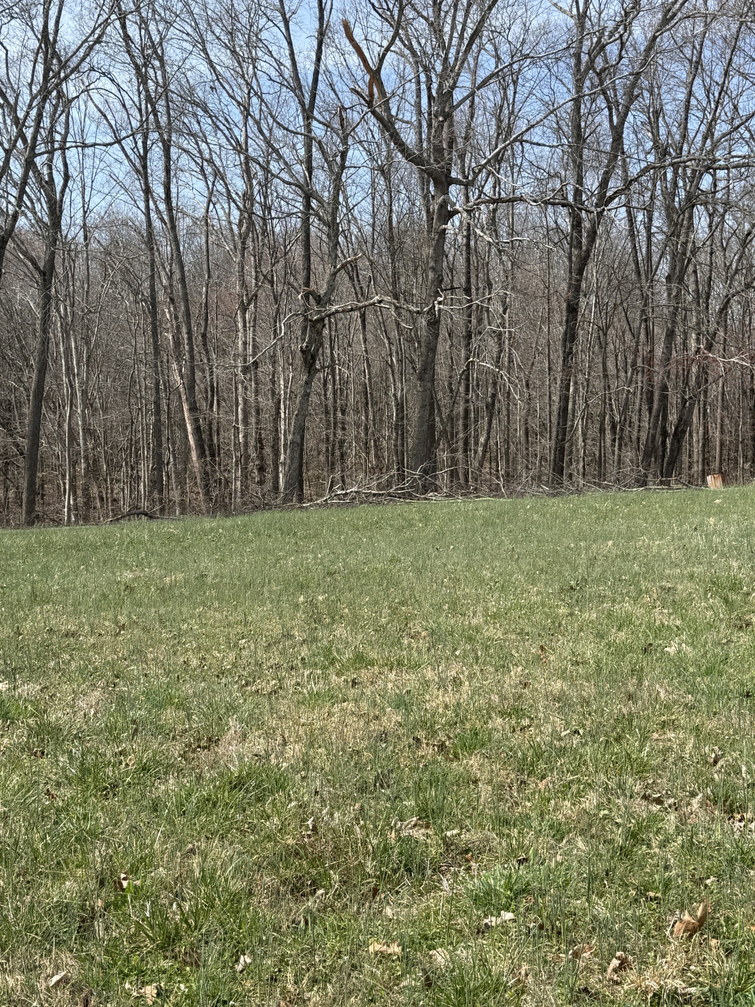 121 Magnolia Lane Red Boiling Springs, TN 37150 - Photo 4 of 10 a view of a field with trees in the background