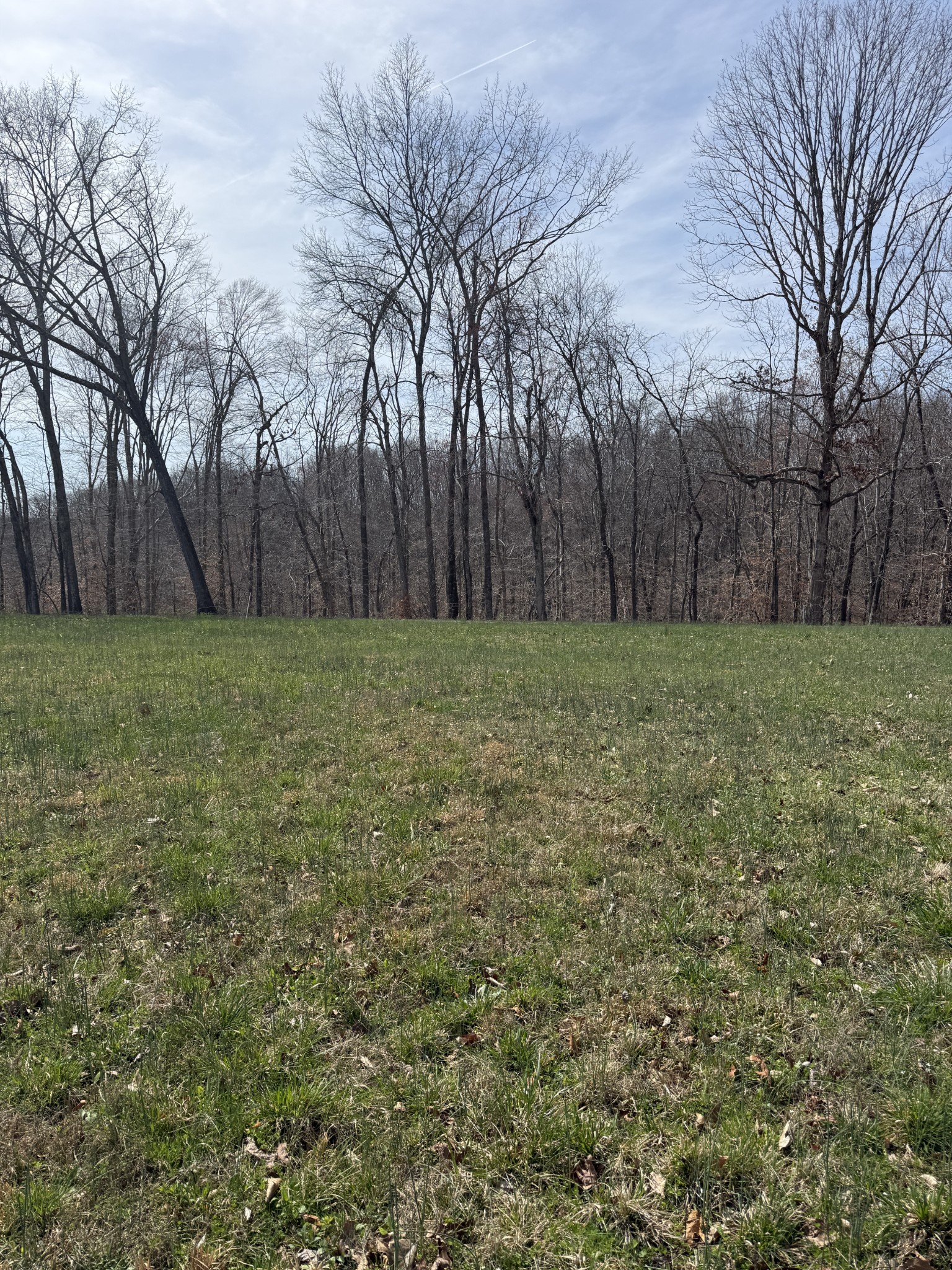121 Magnolia Lane Red Boiling Springs, TN 37150 - Photo 5 of 10 a view of a field with trees in the background