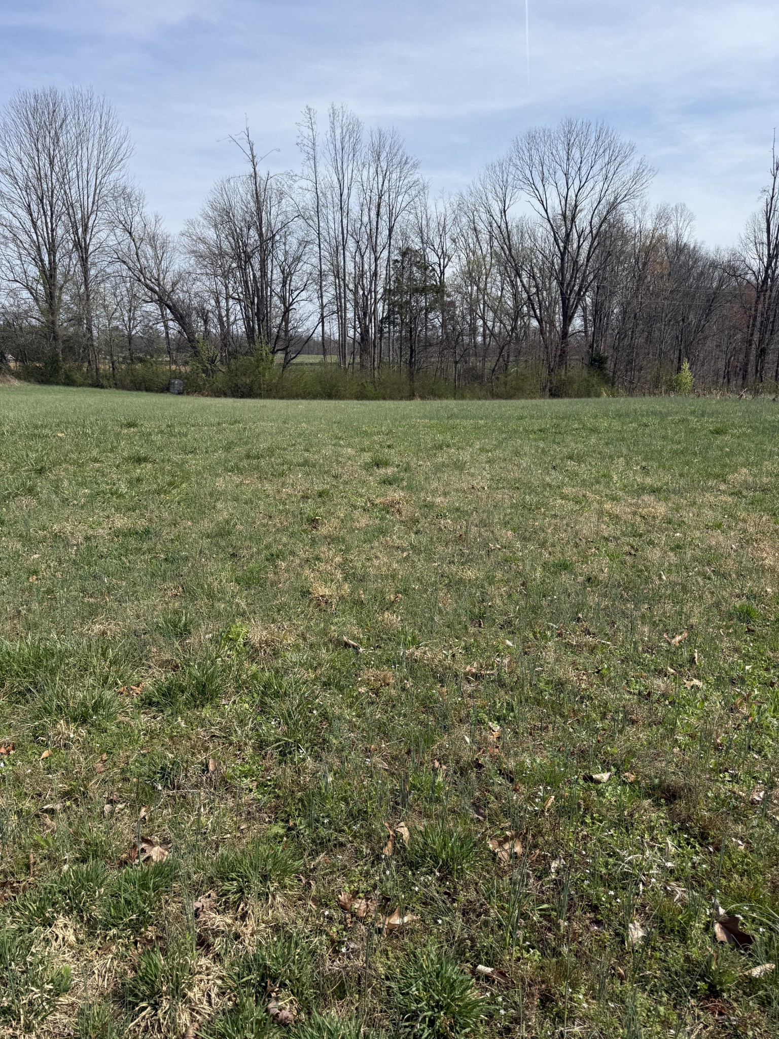 121 Magnolia Lane Red Boiling Springs, TN 37150 - Photo 6 of 10 a view of a field with trees in the background