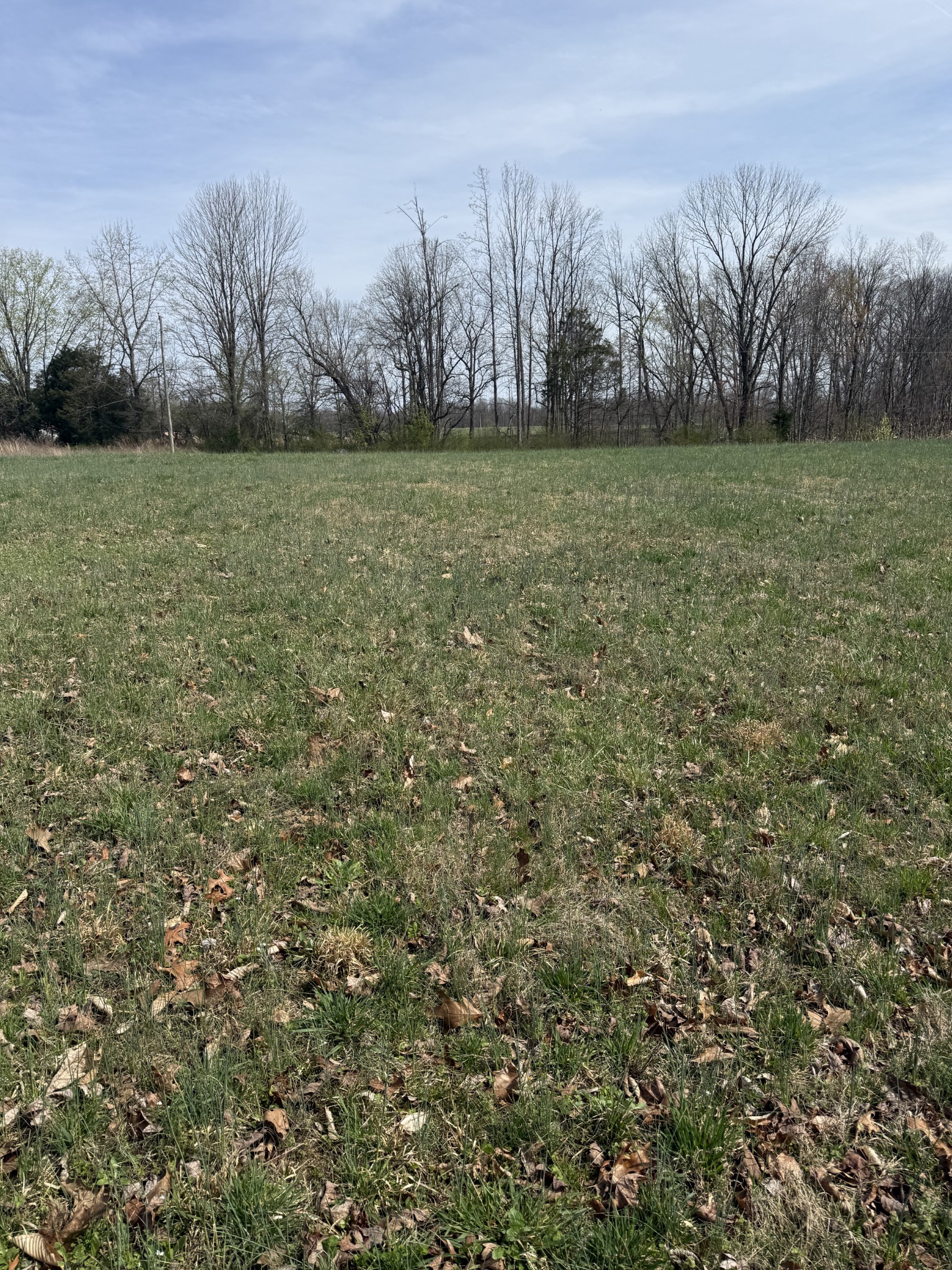 121 Magnolia Lane Red Boiling Springs, TN 37150 - Photo 7 of 10 a view of a field with trees in the background