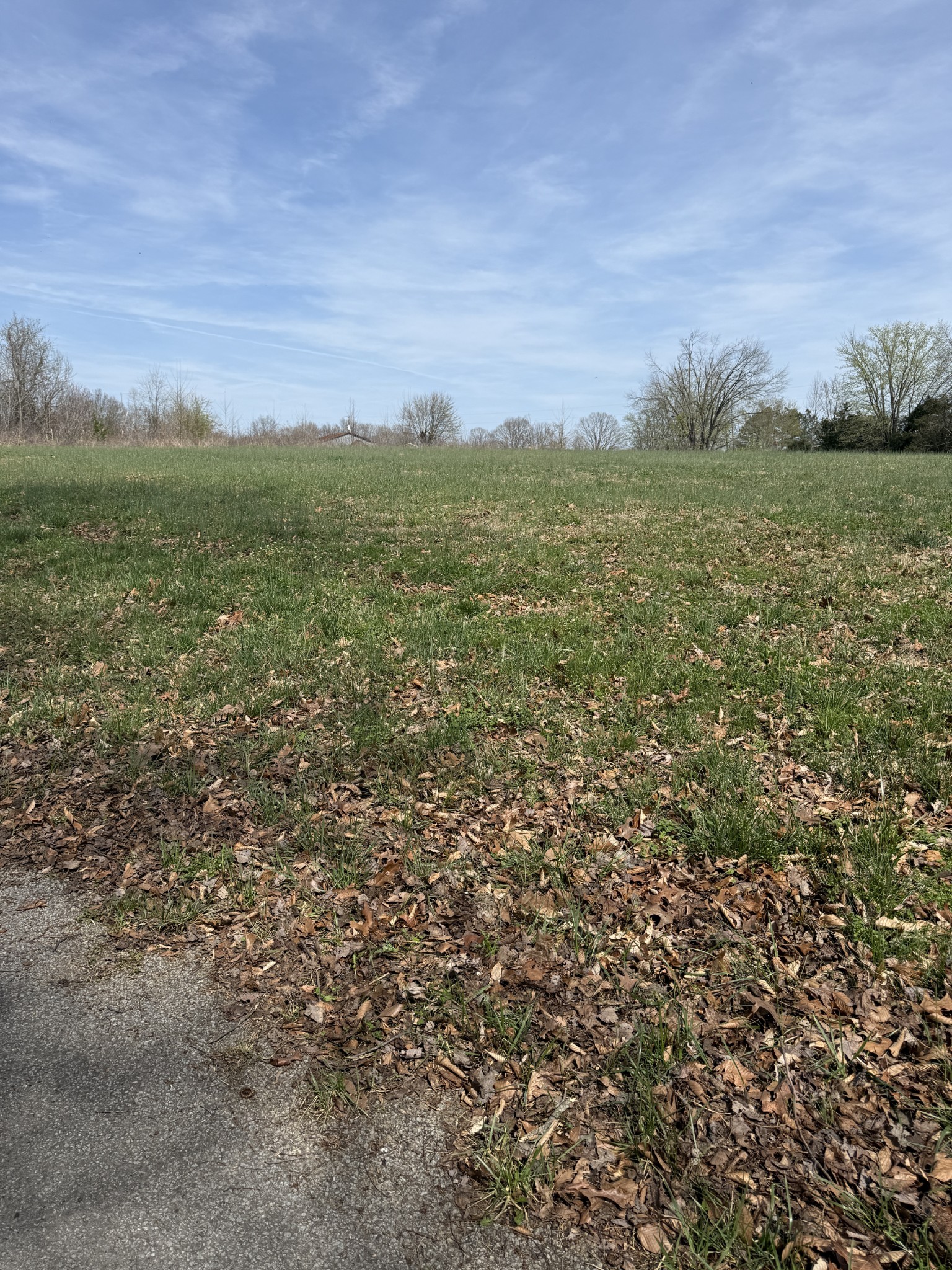 121 Magnolia Lane Red Boiling Springs, TN 37150 - Photo 8 of 10 a view of a field with an ocean and trees