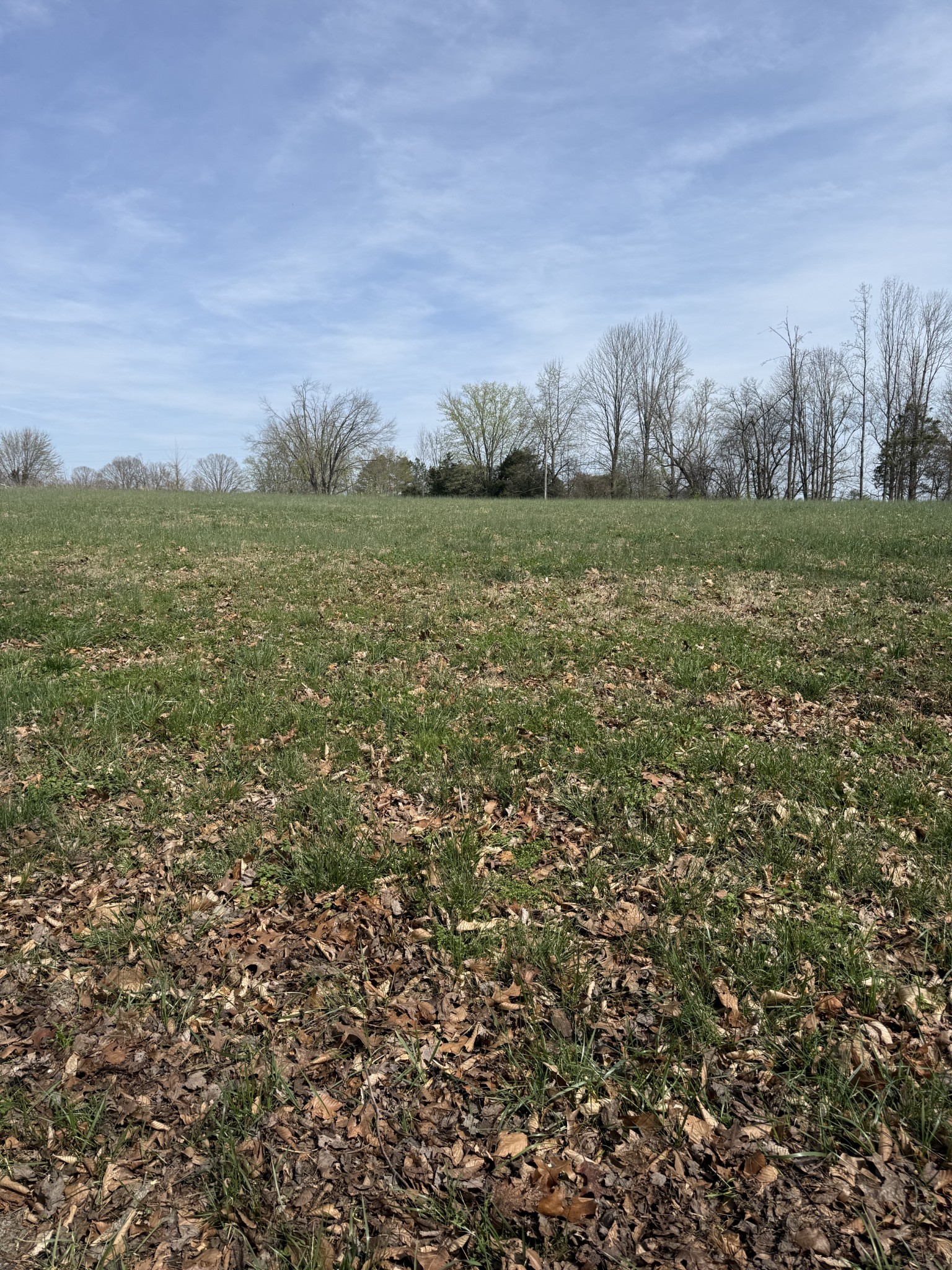 121 Magnolia Lane Red Boiling Springs, TN 37150 - Photo 9 of 10 a view of a field with an ocean